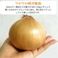 【有名飲食店 / ホテルも愛用】つやつやたまねぎ 10kg 野菜 根菜 玉葱 玉ねぎ タマネギ サラダ 市場 果物 料理 カレー 惣菜 ギフト【ご新規さん限定商品】