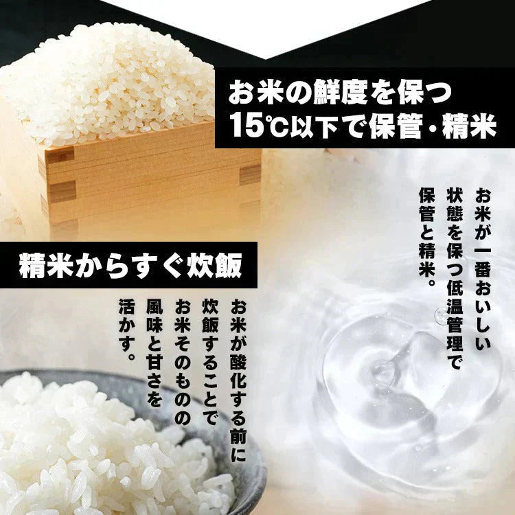 【カートアップNG】パックご飯 120g×10パック アイリスオーヤマ 送料無料 インスタント ごはん パック 120g パックご飯 レトルト パックごはん レトルトご飯 ご飯 一人暮らし アイリスフーズ 低温製法米のおいしいごはん 国産米 低温製法 非常食 防災 角型