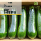 【農家直送！】鹿児島産 -甘塩ズッキーニ-（1kg,5,6本前後）採れたて新鮮！ / 野菜 / ズッキーニ/ チーズ / グラタン / カレー / ツナマヨ / 炒め物 / 煮物 / サラダ / 新鮮 / 農産物 / 無農薬 / 送料無料【特産品・ご当地特集】