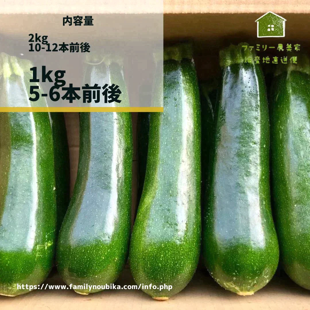 【農家直送！】鹿児島産 -甘塩ズッキーニ-（1kg,5,6本前後）採れたて新鮮！ / 野菜 / ズッキーニ/ チーズ / グラタン / カレー / ツナマヨ / 炒め物 / 煮物 / サラダ / 新鮮 / 農産物 / 無農薬 / 送料無料【特産品・ご当地特集】