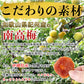 【黒糖入り】種抜き 干し梅 80g 紀州和歌山県産 南高梅 使用 メール便