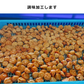 【全国一律送料無料】800ｇつぶれ梅（はちみつ入）400ｇ×2袋セット【エコ得】