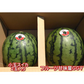 【6月上旬～7月上旬発送予定】小玉すいか (ひとりじめ・まなむすめ・スイートキッズ・黒小玉など) 熊本産 2玉入