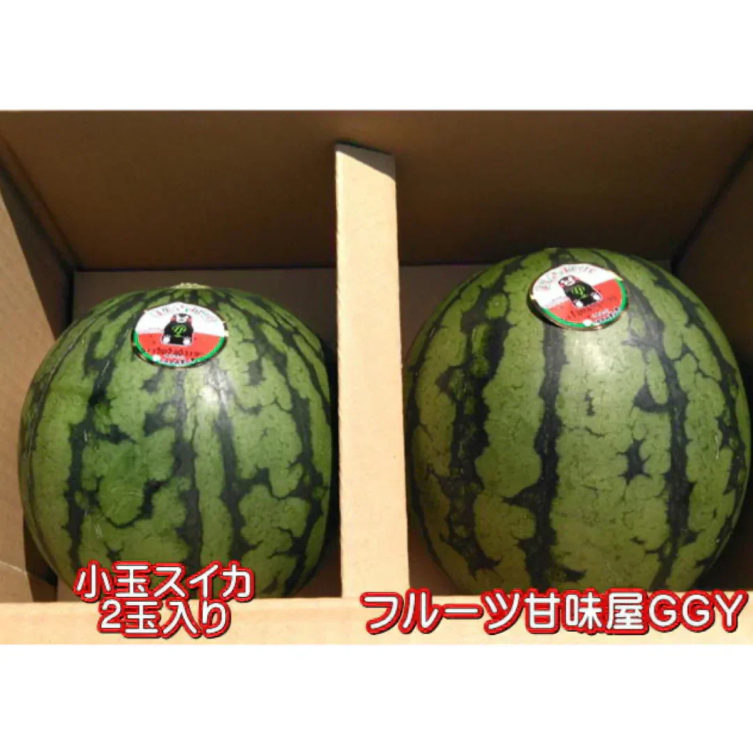 【6月上旬～7月上旬発送予定】小玉すいか (ひとりじめ・まなむすめ・スイートキッズ・黒小玉など) 熊本産 2玉入