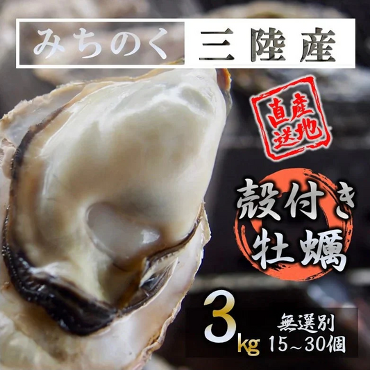 牡蠣 みちのく三陸産 殻付き牡蠣 3kg 加熱用 産地直送 冷凍で日持ち抜群 世界三大漁場 石巻 食材 バーベキュー 贈答 焼く 蒸す 煮る かきフライ 等 様々なお料理に