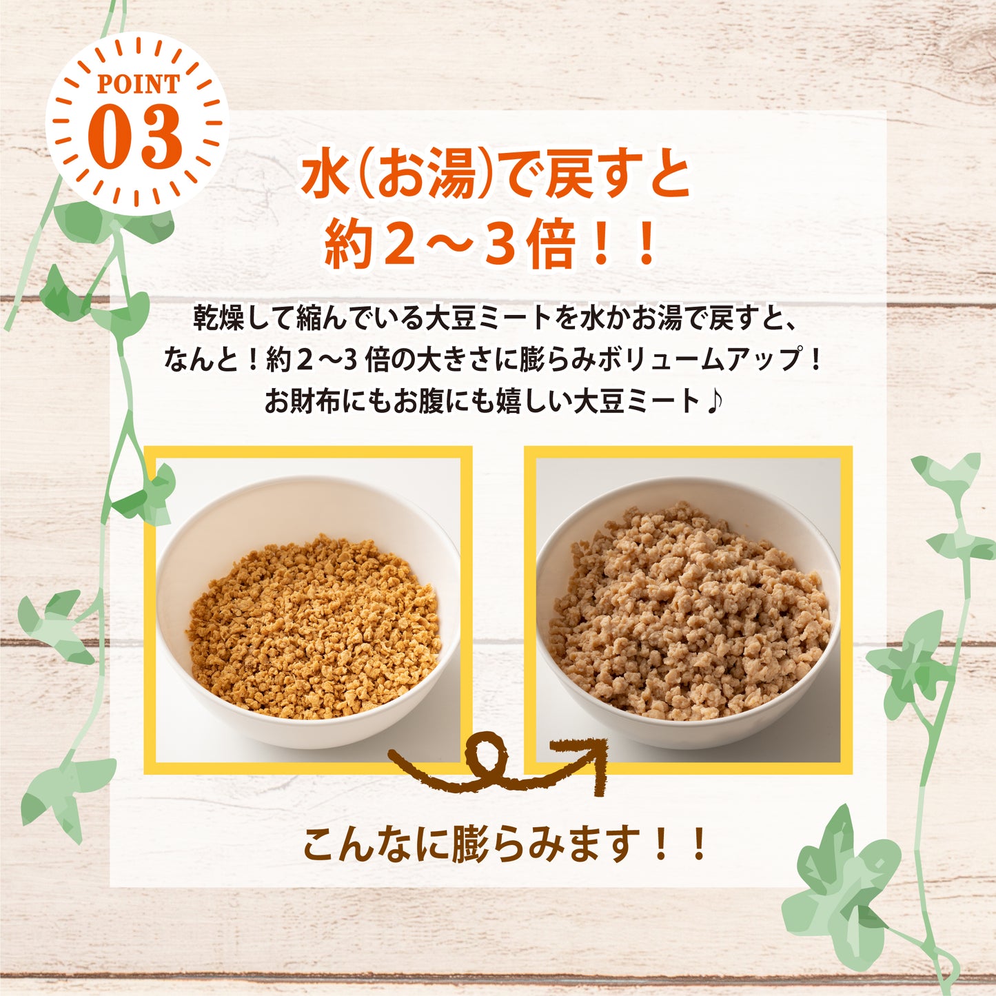 雑穀 雑穀米 国産 大豆ミート(ミンチ) 2kg(500g×4袋) 送料無料