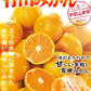 【レビュー悪】有田みかん 10kg 和歌山産 ご家庭用