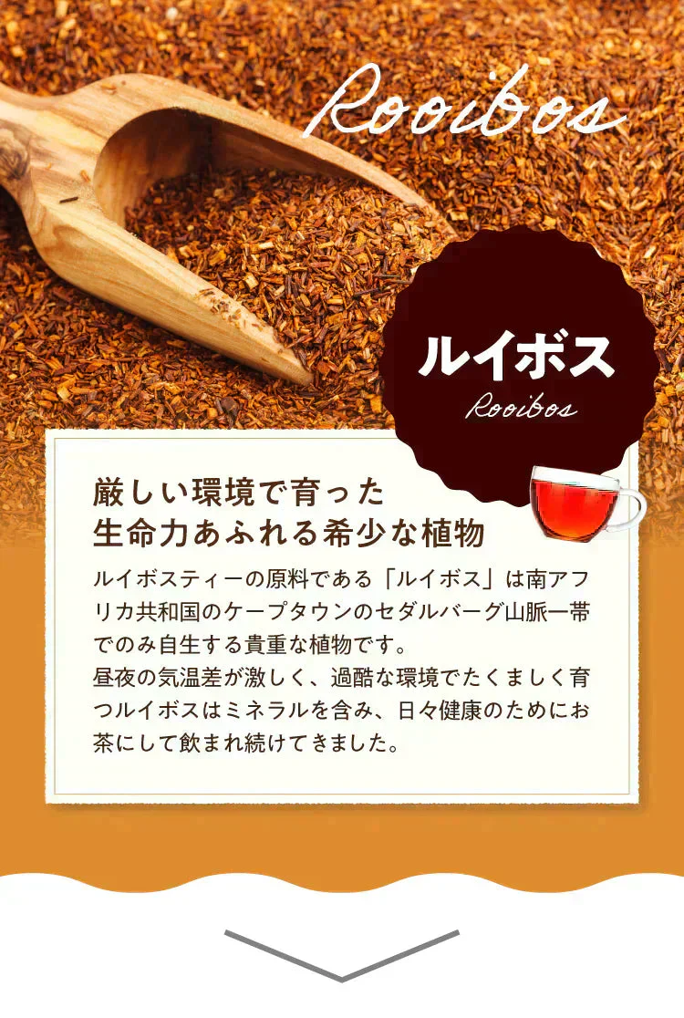 【最短当日出荷】アレンジルイボスティー オレンジ カップ用 ティーバッグ 30個入