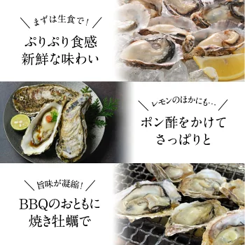 兵庫県室津産 ハーフシェルオイスター 殻付き牡蠣 生食用 10個入り［冷凍のみ］【送料無料】【3～4営業日以内に出荷】