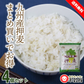 【まとめ買いでお買い得】九州産 押麦 800g×4個 大麦 麦とろごはんにも 3.2kg 麦ごはん 食物繊維 手軽 使いやすい