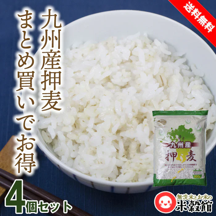 【まとめ買いでお買い得】九州産 押麦 800g×4個 大麦 麦とろごはんにも 3.2kg 麦ごはん 食物繊維 手軽 使いやすい
