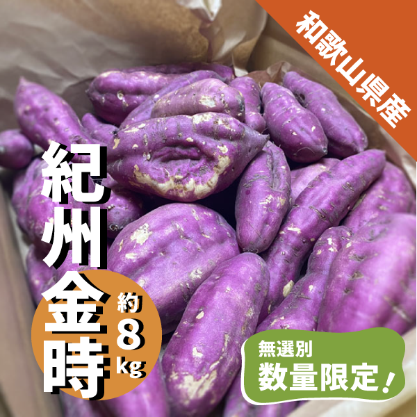 和歌山県産 紀州 金時 約８kg ご家庭用 さつまいも 訳あり サツマイモ 焼き芋 干し芋
