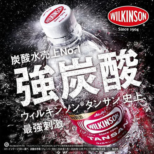 【5人シェア買いで5%OFF】【全国配送対応】【1ケース】【送料無料】ウィルキンソン炭酸水タンサン500mlPET24本