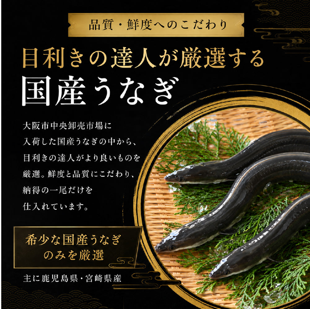 先着100名様限定！＼煮穴子200gプレゼント中／父の日 うなぎ 2尾 特大一本うなぎ蒲焼き 30cm×200g超 国産うなぎ 特大国産うなぎ 2尾 市場直送 母の日 中元 土用の丑の日 鰻 関西焼き 高評価 国産 特大 うなぎ蒲焼き 関西焼き 特大サイズ ウナギ 国産鰻 特大 蒲焼 夏ギフト