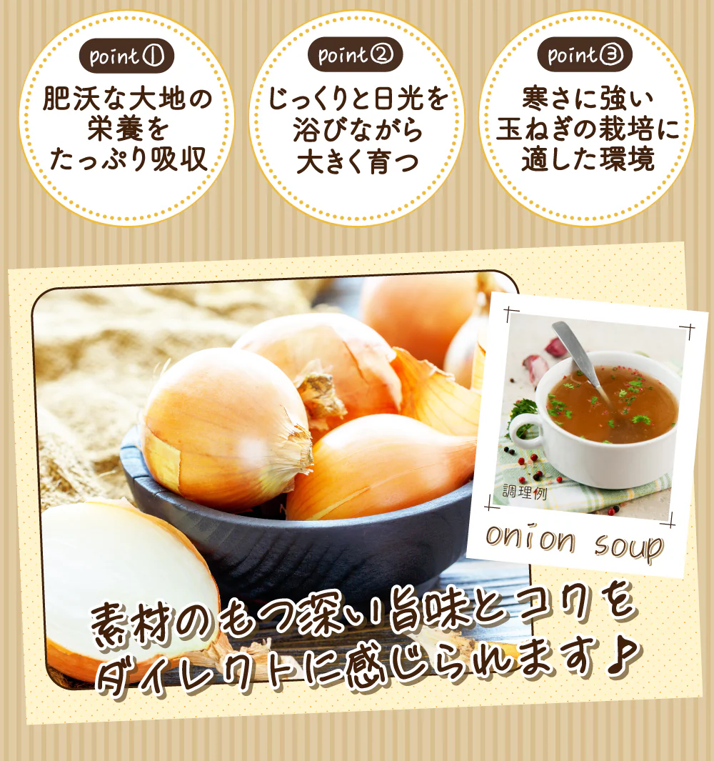 送料無料 北海道玉ねぎスープ 30食 個包装 携帯スープ 顆粒 軽量 食品 お試し お手軽 オニオン 玉ねぎ タマネギ スープ 調味料 万能調味料 ポスト投函便