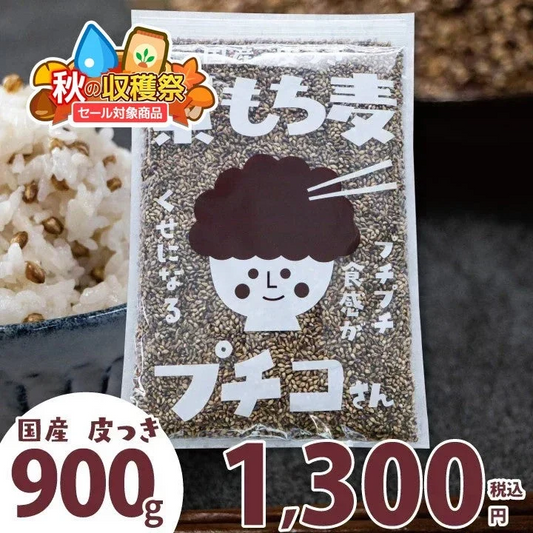 【順次発送中】国産 皮つき 紫 もち麦 プチコさん 900g からだにいいこと大賞準大賞 ダイシモチ アントシアニン 腸内環境 食物繊維
