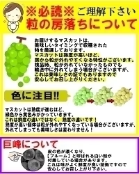 福島県産 秀品 シャインマスカット 大房２房セット