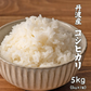 【白米】 丹波産 コシヒカリ 5kg [丹波産コシヒカリ100％] 兵庫県産 単一原料米 送料無料 精米工場からの直送品