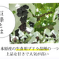 ぶどう 巨峰 約1.2kg（約300g×4パック） 福岡・熊本県産 〈クール便でお届け〉きょほう 葡萄 黒ぶどう 藤稔 ピオーネ