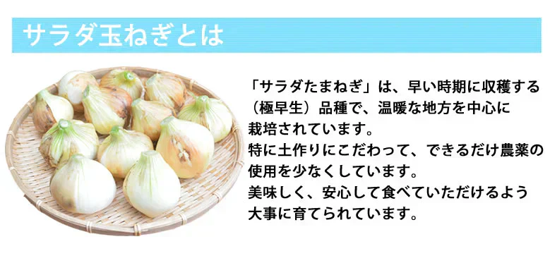 玉ねぎ サラダ玉ねぎ 訳あり 送料無料 10kg 箱込 (内容量9kg+不良補償分500g)  2S〜3L 熊本県産 お取り寄せ お取り寄せグルメ 玉葱 たまねぎ 野菜