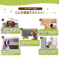 【予約商品：9月下旬（～30日までに発送）】【ホワイト】ペットケージ 1段 小型犬 中型犬 猫 うさぎ 幅92×奥行62×高さ64cm 全5色 キャスター付き 折りたたみ 組立 カンタン おそうじ 室内 ハウス