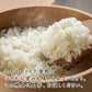 【白米】匠の一粒 コシヒカリ 10kg 国産 国産コシヒカリ(ブレンド)100％ 送料無料 精米工場からの直送品