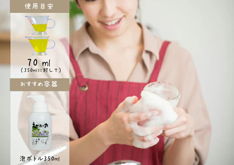 「Eco-Branch110 エコ・ブランチ110　500ml 詰替タイプ」エコブランチ　食品並みの安全性で手肌にやさしいミラクル洗剤！