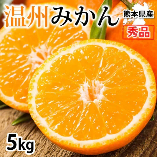 【11月下旬～12月上旬頃より順次出荷】みかん 5kg 送料無料 温州みかん 秀品 熊本県産 蜜柑 ミカン