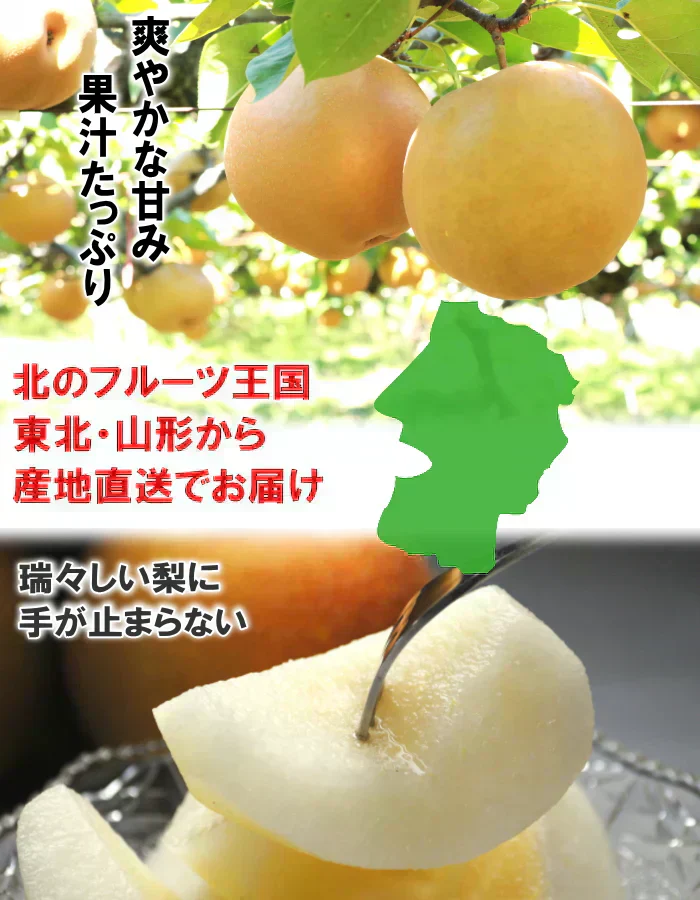 訳あり 和梨 5kg前後 産地箱詰め 10-24玉前後 なし 梨 ナシ 品種・サイズ・玉数おまかせご家庭用にたっぷり5kg箱