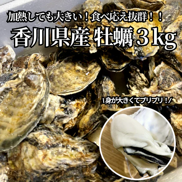 【25個以上！】香川県志度産牡蠣　３キロ