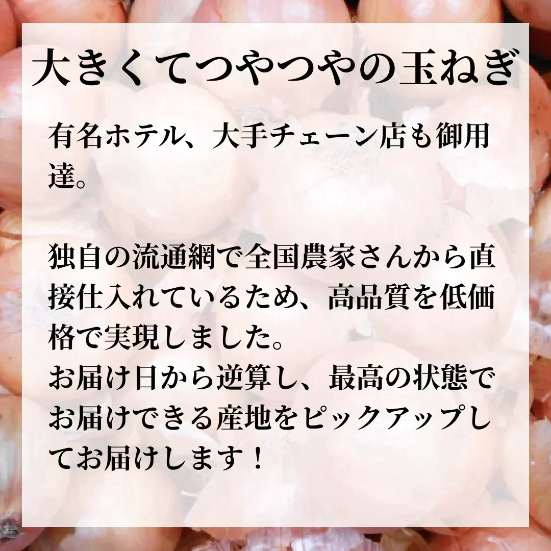 つやつやたまねぎ 2キロ 有名ホテルや大手チェーン店も御用達 玉ねぎ 玉葱【プチプラ特集】