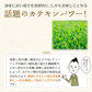 日本橋いなば園 プレミアムティーバッグ緑茶 2g×20包 メール便送料無料 お茶 ティーバック ギフト 贈り物 プレゼント 香典返し お礼 お茶 ティー ティーパック パック プチギフト 贈物 新居祝い 引越し 茶匠庵 いなば園