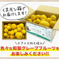 河内晩柑 5kg 送料無料 和製 グレープフルーツ フルーツ 果物 みかん 訳あり 夏文旦 晩柑 ジューシーみかん 熊本県産 《1-5営業日以内に発送予定》