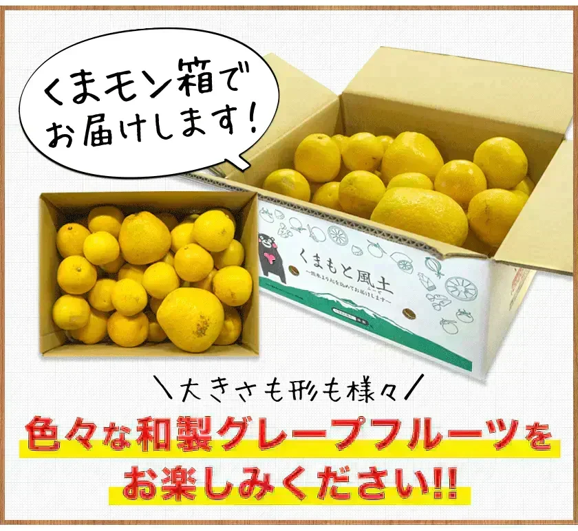 河内晩柑 5kg 送料無料 和製 グレープフルーツ フルーツ 果物 みかん 訳あり 夏文旦 晩柑 ジューシーみかん 熊本県産 《1-5営業日以内に発送予定》