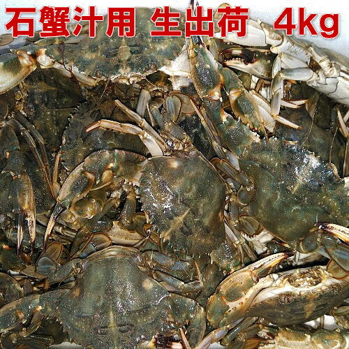 生出荷！カニ汁用！約80杯分！石蟹小サイズ４kg