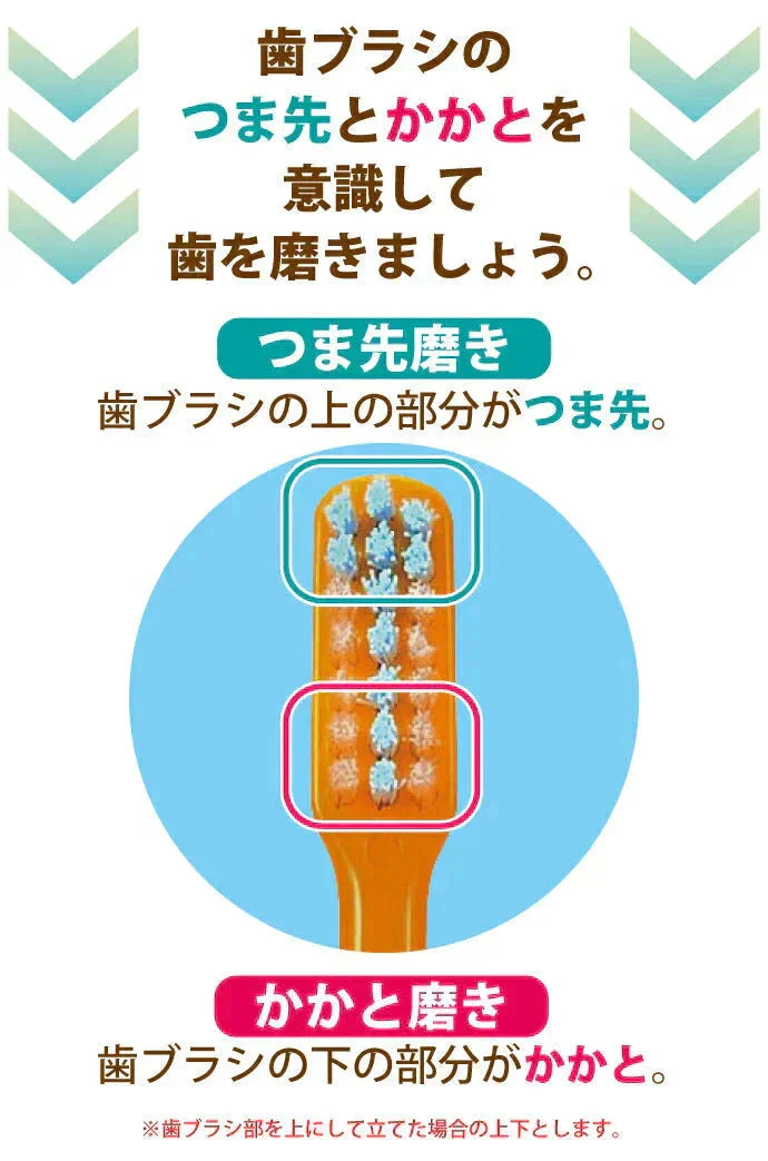 歯ブラシ Ci PRO PLUS（プロプラス） Sやわらかめ 20本入【Ciメディカル 歯ブラシ】【メール便送料無料】