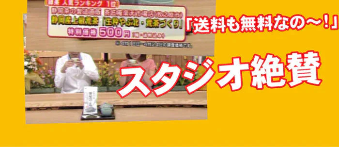 【2個セット】日本橋いなば園 静岡深蒸し茶 荒茶づくり 100g ネコポス メール便送料無料