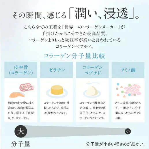 かがやきコラーゲン100g 送料無料 フィッシュコラーゲン 魚由来100％ Wの乳酸菌配合 コラーゲン