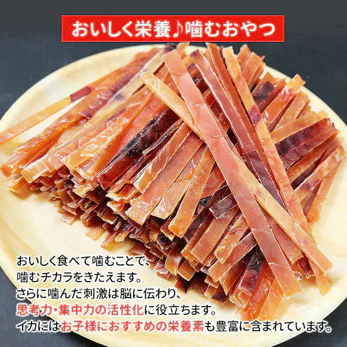 するめジャーキー 400g 常温便 ネコポス 送料無料【猛暑注意！到着後お早めに室内へ】