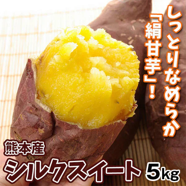 さつまいも 5kg シルクスイート 熊本産 S～2L【2025年1月中旬より発送】