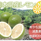 レモン 国産レモン 送料無料 4kg 2S～L  熊本県産 減農薬 防腐剤ワックス不使用 れもん グリーンレモン 国産