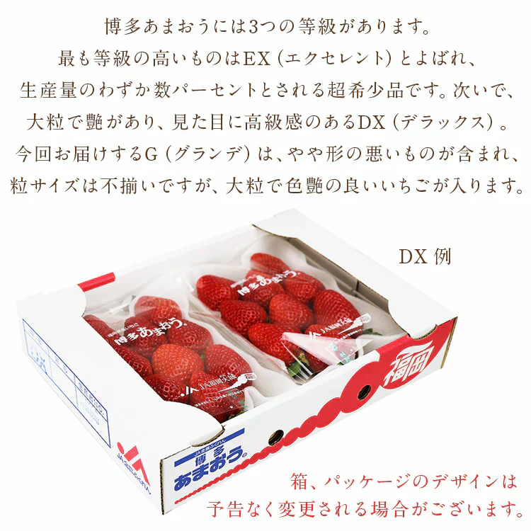 博多あまおう 福岡県産 ご家庭用 2パック 約520g (1パック約260g)  グランデ