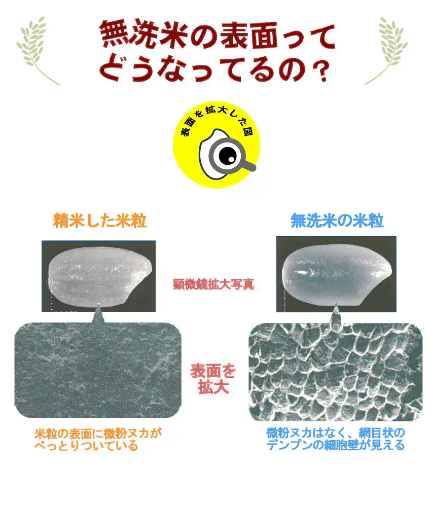 【令和6年産】送料無料 無洗米 5kg 大分玖珠・九重の棚田米 九州産 5kg×1