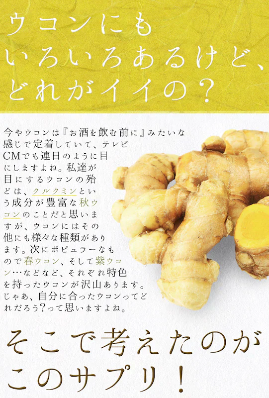 【大容量★約6ヶ月分】healthylife ウコンばくだん【6種のウコン＋クルクミン＋肝臓エキス 二日酔い対策 疲れ 肝臓エキス 飲みすぎ 食べ過ぎ】360粒 お酒で潰れたくない 二日酔いしたくない 脂っこいものをよく食べる 生活習慣が乱れている どのウコンがいいか迷っている クルクミン 肝臓エキス 食べ過ぎ 飲み過ぎに おすすめ 人気 ランキング 効果 強力 最強 通販 日本製 国産 健康サプリ 健康食品