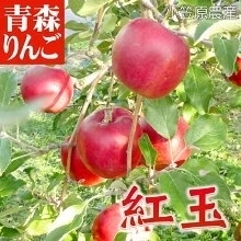 紅玉 こうぎょく ●家庭用 5C箱(5kg箱:約18～25個入)