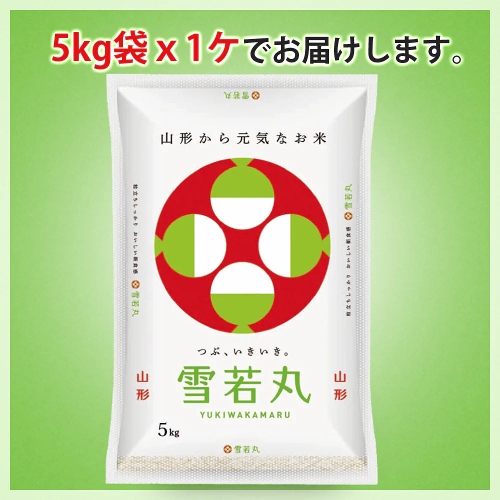 雪若丸 無洗米 5kg 山形県産 令和7年産 送料無料 米 5キロ こめ コメ お米 精米 新米 お米5kg 雪若丸5kg 雪若丸5キロ