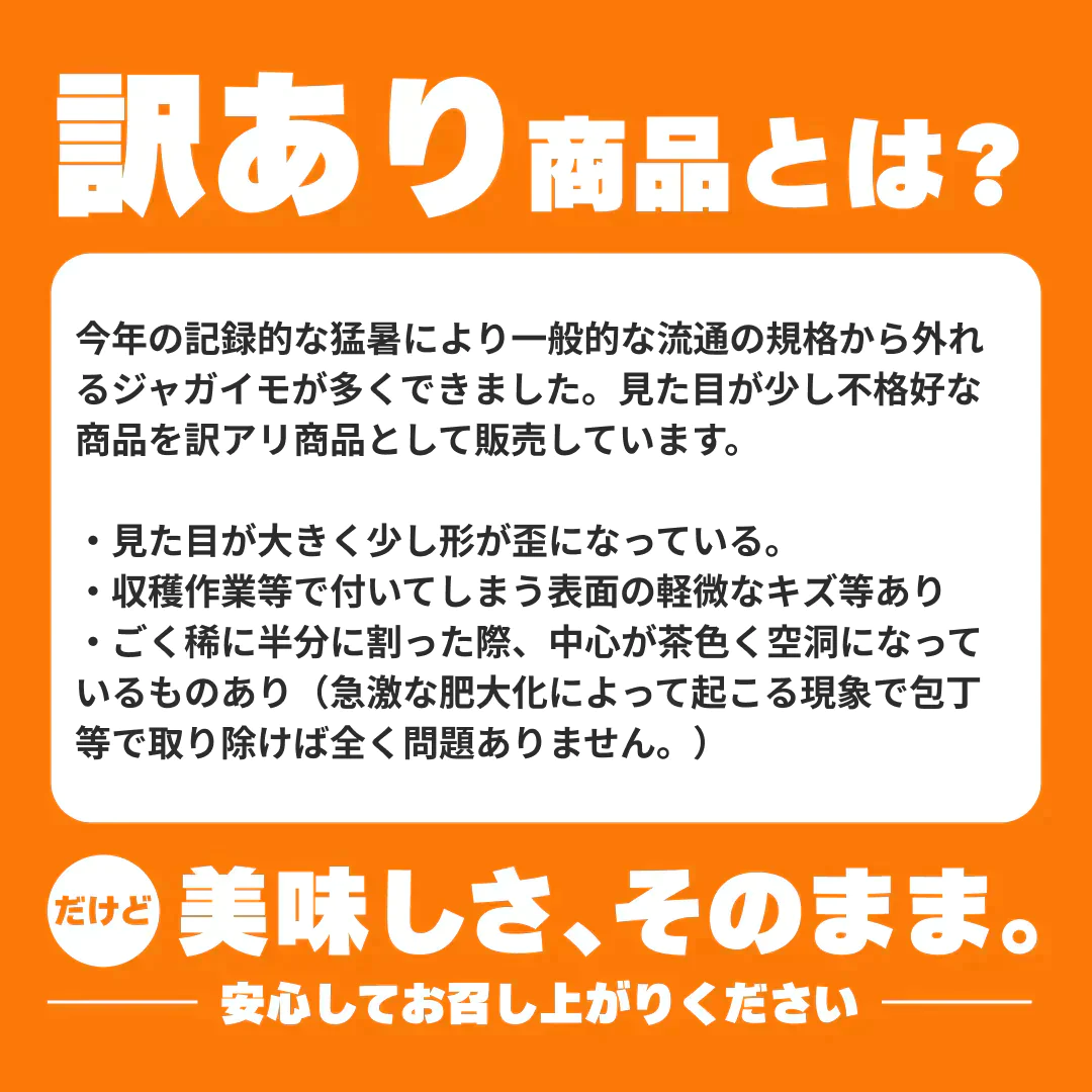 訳あり・規格外北海道じゃがいも 5kg【ご新規さん限定商品】