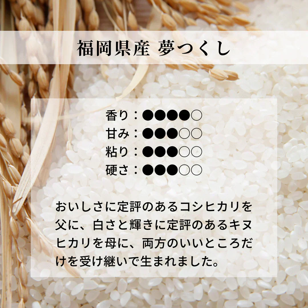 特別栽培米 無洗米 福岡県産 夢つくし 300g ×2 令和5年度産