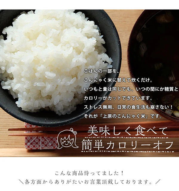国産 こんにゃく米 100g×100パック