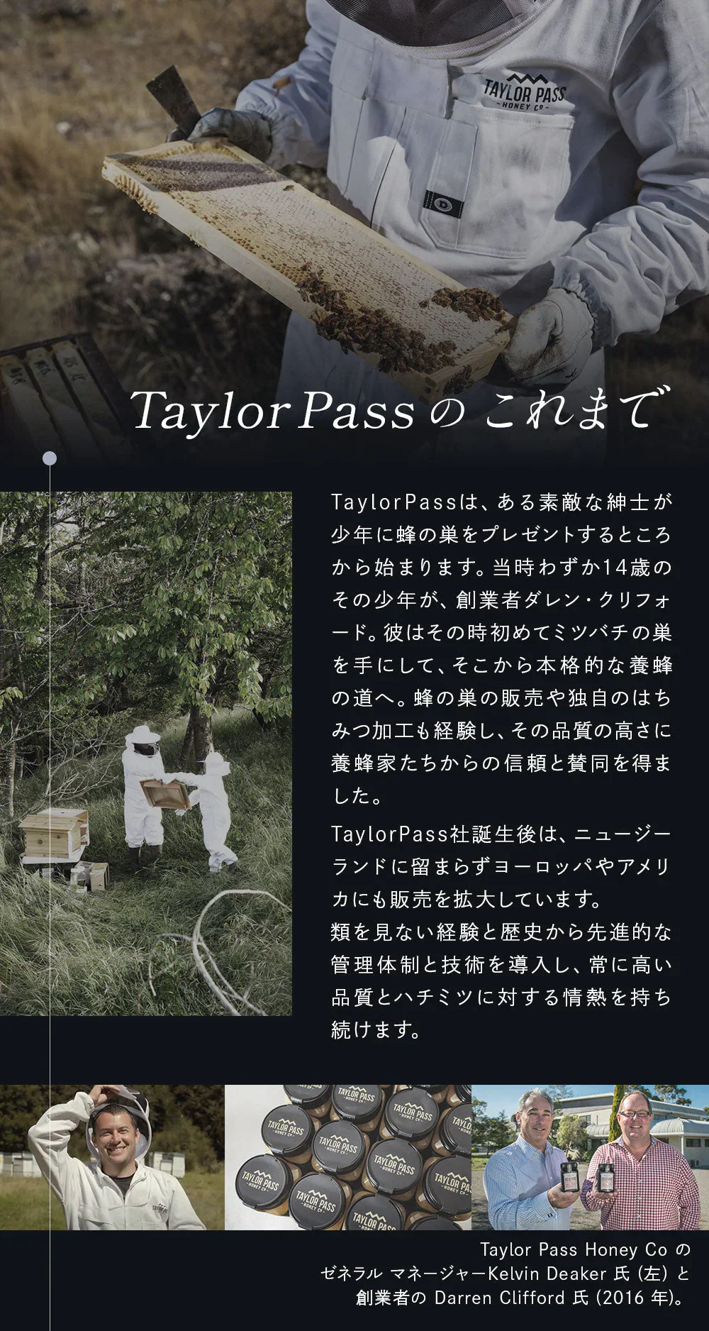 マヌカハニー UMF10+ [500g] MGO261～511 UMF協会認定【Taylor Pass ＆ マリリニュージーランド マヌカハニー】 生 はちみつ 非加熱 無添加 蜂蜜 モノフローラル 【送料無料】